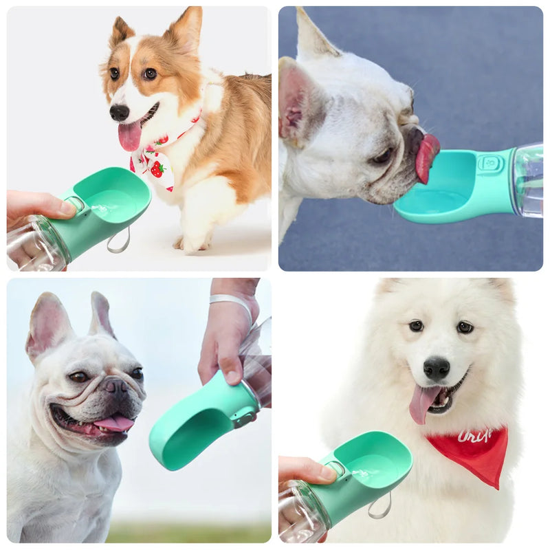 GARRAFA DE ÁGUA PORTÁTIL PARA PET